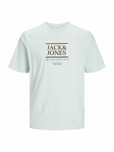 تی شرت آستین کوتاه مردانه رگولار یقه گرد Jack & Jones 12252681 ال سی وایکیکی