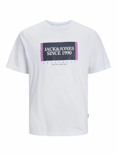 تی شرت آستین کوتاه مردانه رگولار یقه گرد Jack & Jones 12252681 ال سی وایکیکی