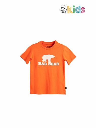 پسرانه   Bad Bear 23.06.07.001 ال سی وایکیکی